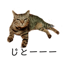 とこねこスタンプver.1