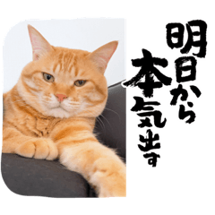 yun_20220616060616