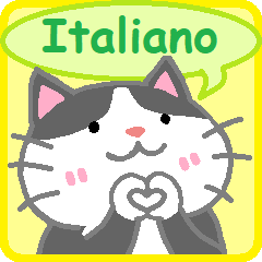 黒に近いグレー猫のイタリア語会話