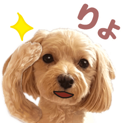 Pop out ! Dog Maru-chan summer