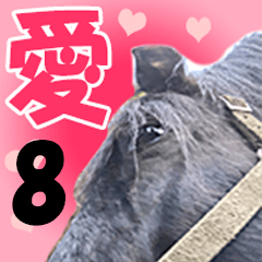 Horse face photo sticker of FUJIKAZE -8-