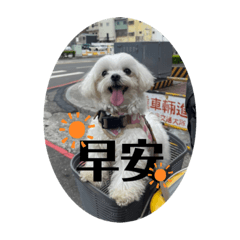 婉兒美眉