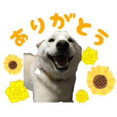 Hana_20220616165335