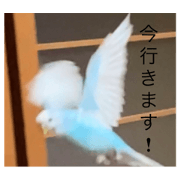 Nana to7710_20220616162723
