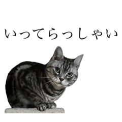 nozomi_20220616174800