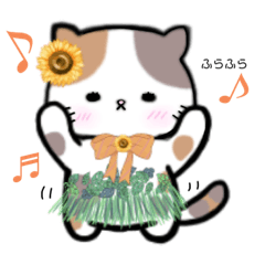 Mai-chan, a three-haired cat, summer