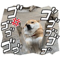 Yuto_20220616205534