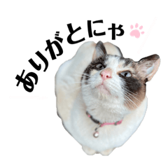 kuma.misaki_20220616231134