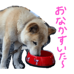 puutaromonogatari