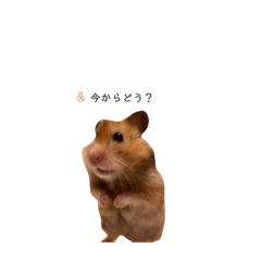 arisa_20220617003252