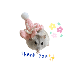 鼠餅（綽號小花）