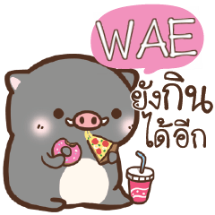 WAE pig pig lovely e
