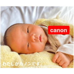 canon_20220617115900