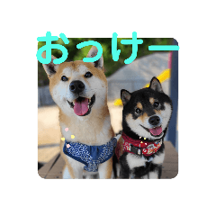 Hana_20220617124608