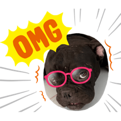 Smile_20220617085848