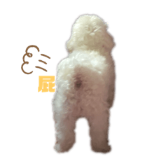 Bobo 去給爸爸擦屁股