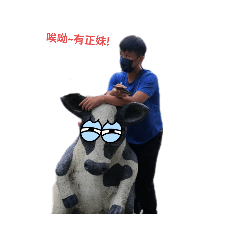 Bryant 表情包
