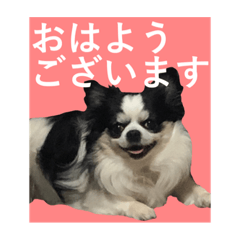 hana_20220617182356