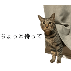 mizuki_20220617195804