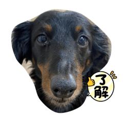 michiko_20220617221951