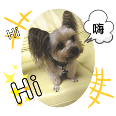 阿寶的生活用語