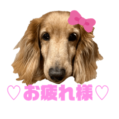 misa_20220617214015
