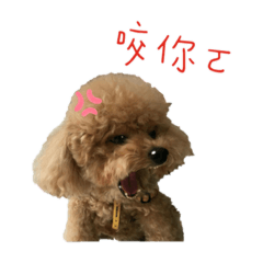 粉圓來囉