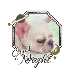 Natsumi_20220617224819