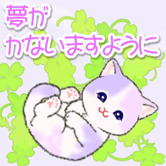 Hydrangea-colored cat