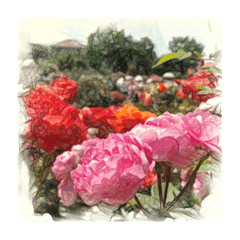薔薇の絵  - Rose Garden -