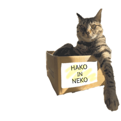 yurin_20220616011710