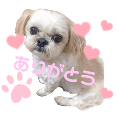 arisa_20220618130105