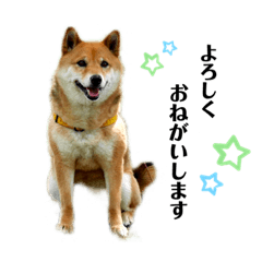 kaori_20220618135825