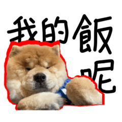 喜妹愛大家