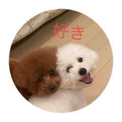rina_20220618175249