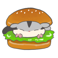 どこでも眠るフクロモモンガ