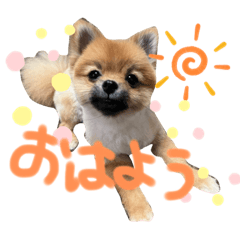 arisa_20220618222319