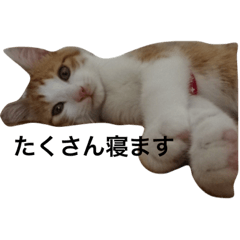 miyuu_20220618235843