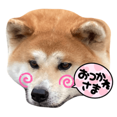hikaru_20220618212230