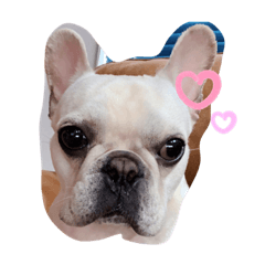 Natsumi_20220619075656