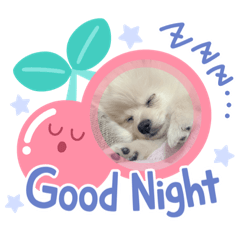 arisa_20220619004314