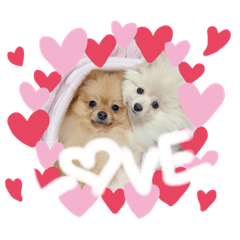 arisa_20220619102832