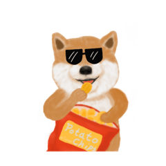 Dotji Shiba Inu - 87 chat conversation