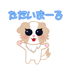 HIKARU_20220618201037