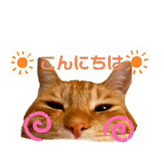eririn_20220618211252