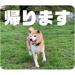 KOYUKICHAN_20220618223457