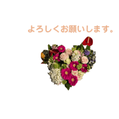 MiChiko_20220619111430