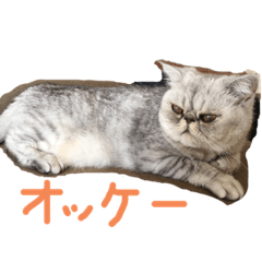 ayumi_20220619142724