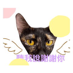 可樂是可樂