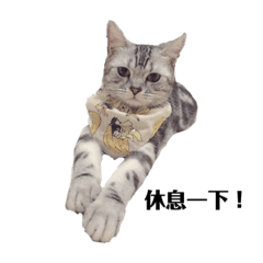 湯圓圓(⁎⁍̴̛ᴗ⁍̴̛⁎)